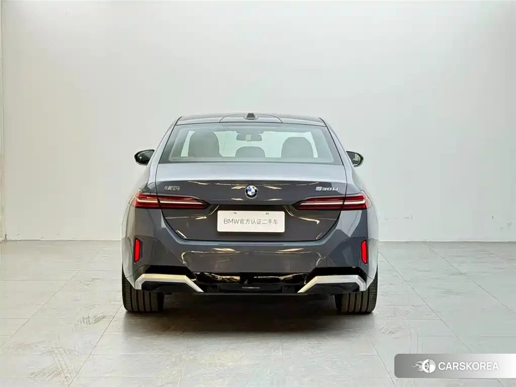 BMW 5 series 2024 Silver/gray из Китая