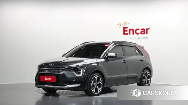 Kia Di Ol Nu Niro 2024 Серый из Кореи