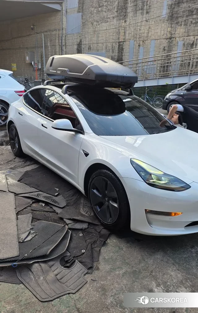 Tesla Model 3 2021 Белый из Кореи