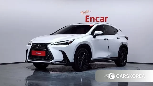 Lexus NX350h Second generation 2024 Белый из Кореи