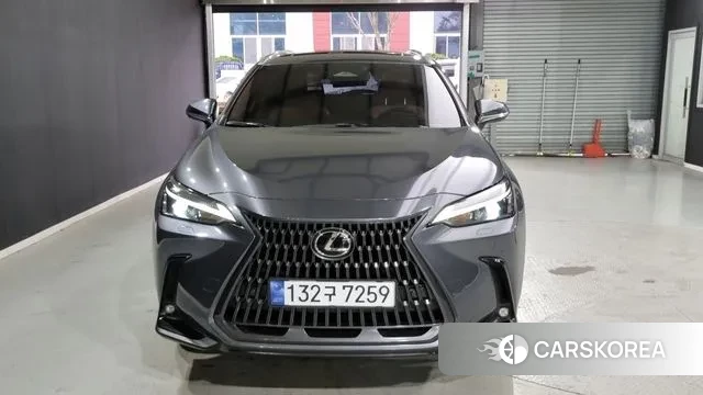 Lexus NX350h Second generation 2023 Серый из Кореи