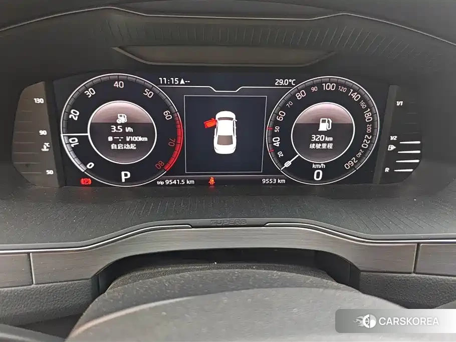 Skoda Speed pie 2024 Черный из Китая
