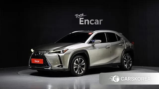 Lexus UX250h 2019 Серый из Кореи