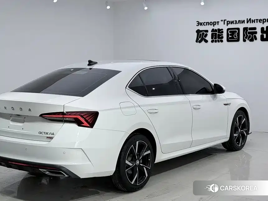 Skoda Octavia 2023 Белый из Китая