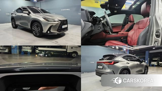 Lexus NX350h Second generation 2024 Песочный из Кореи