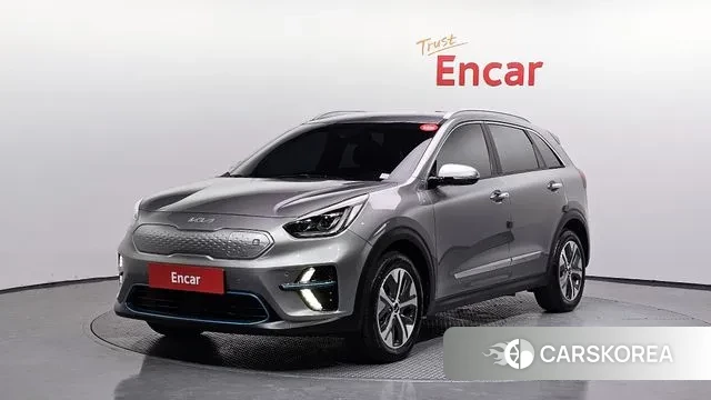 Kia Niro EV 2021 Серый из Кореи