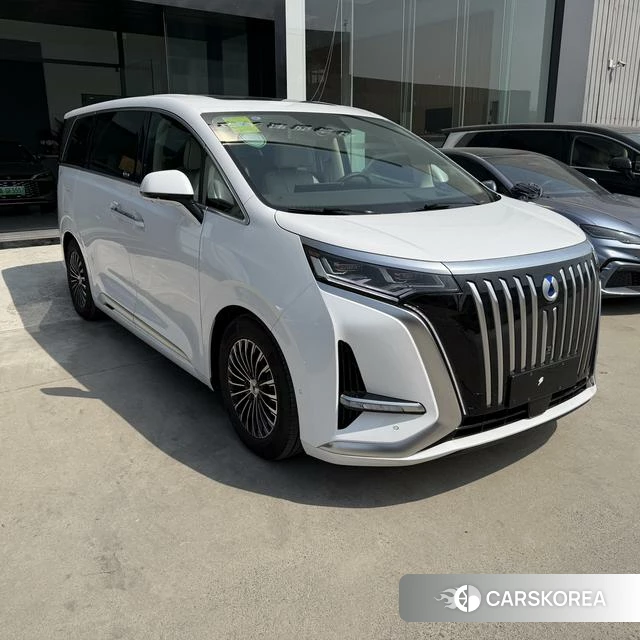 Denza D9 EV 2026 Белый из Китая