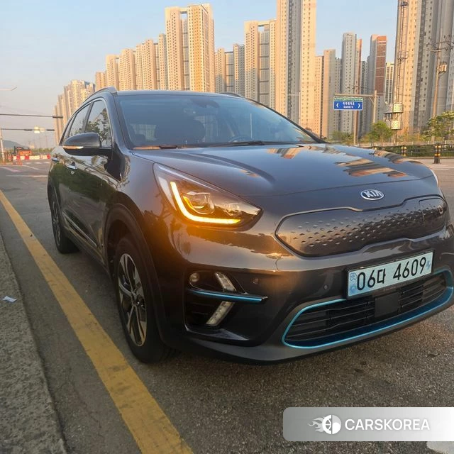 Kia Niro EV 2019 Черный из Кореи