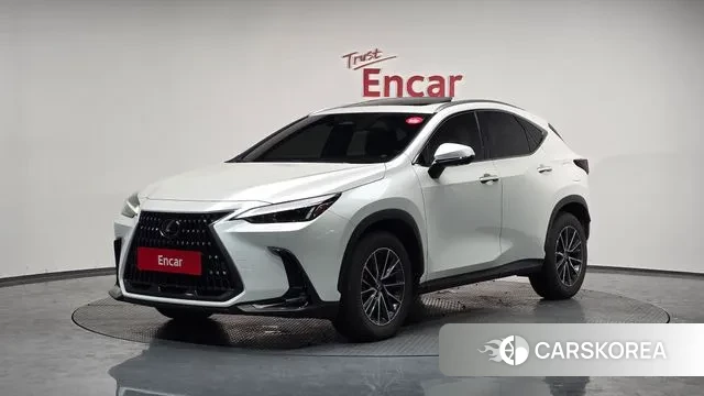Lexus NX450h + 2nd generation 2024 Белый из Кореи