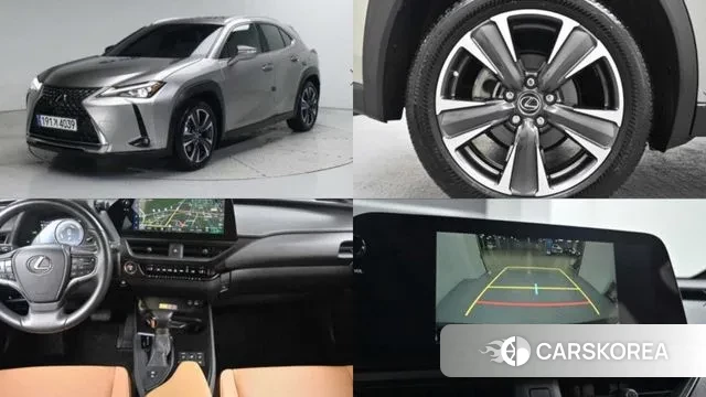 Lexus UX250h 2023 Серый из Кореи
