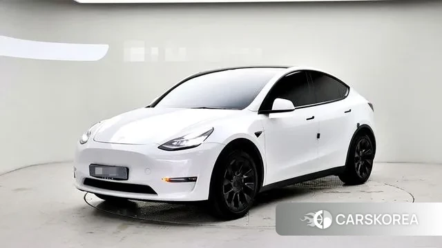 Tesla Model Y 2021 Белый из Кореи