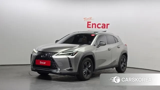 Lexus UX250h 2019 Серый из Кореи