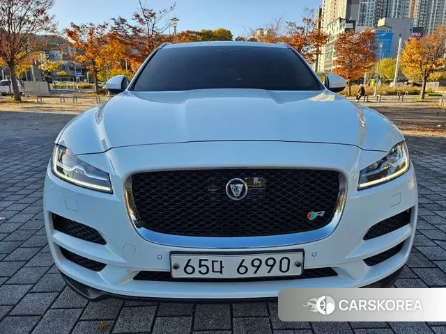 Jaguar F-PACE 2019 Белый из Кореи