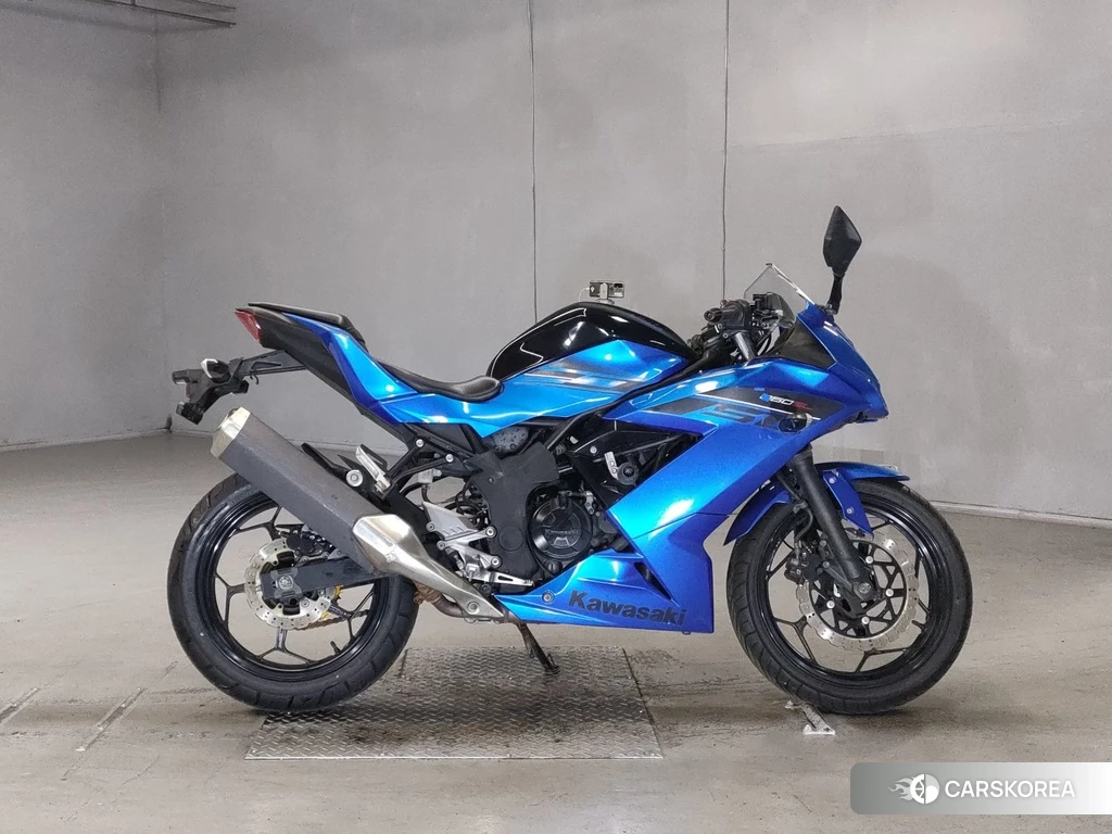 Проданный Kawasaki NINJA 250SL 2016 из Японии, фото 2