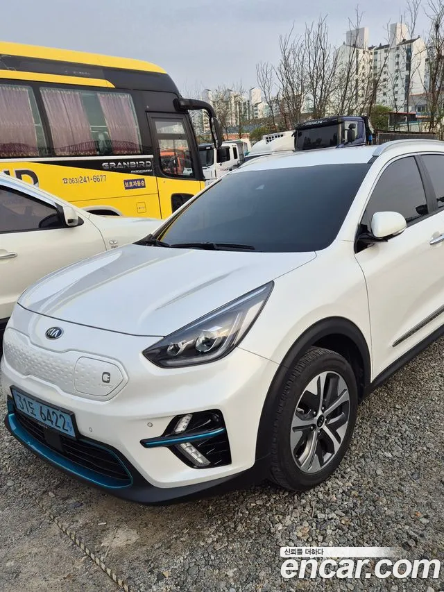Kia Niro EV 2020 Белый из Кореи