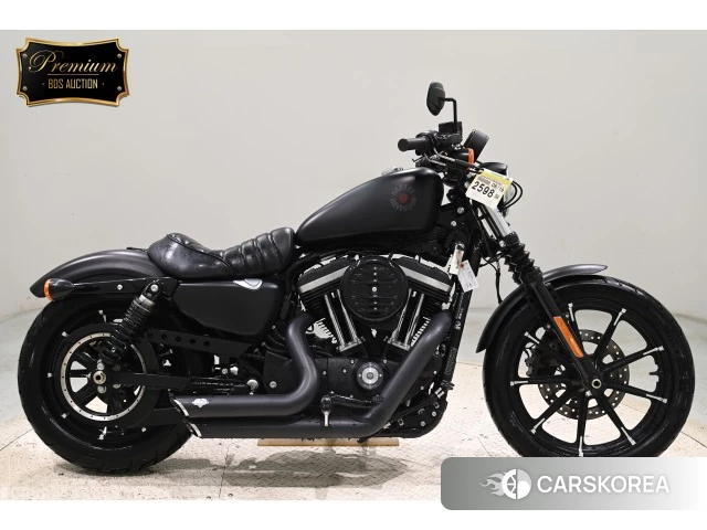Проданный Harley-Davidson Sportster XL883N 2020 из Японии, фото 2