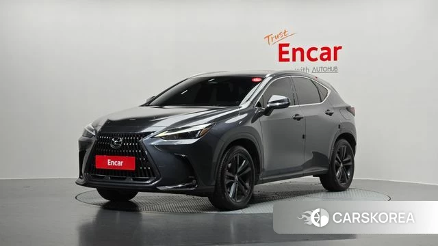 Lexus NX350h Second generation 2022 Серый из Кореи