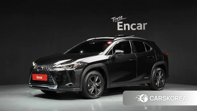 Lexus UX250h 2019 Серый из Кореи