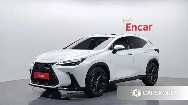 Lexus NX350h Second generation 2023 Белый из Кореи