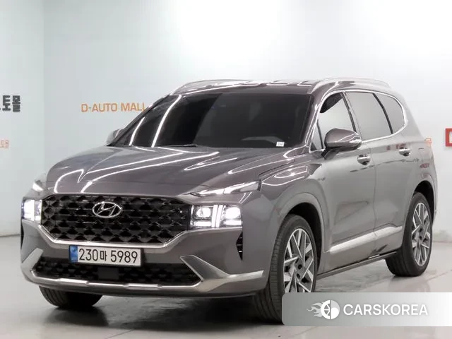 Hyundai The New Santa Fe 2023 Серый из Кореи