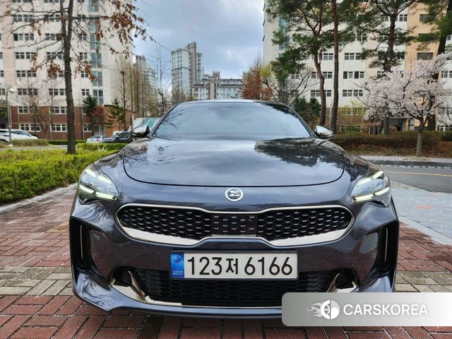 Kia Stinger Meister 2021 Серый из Кореи
