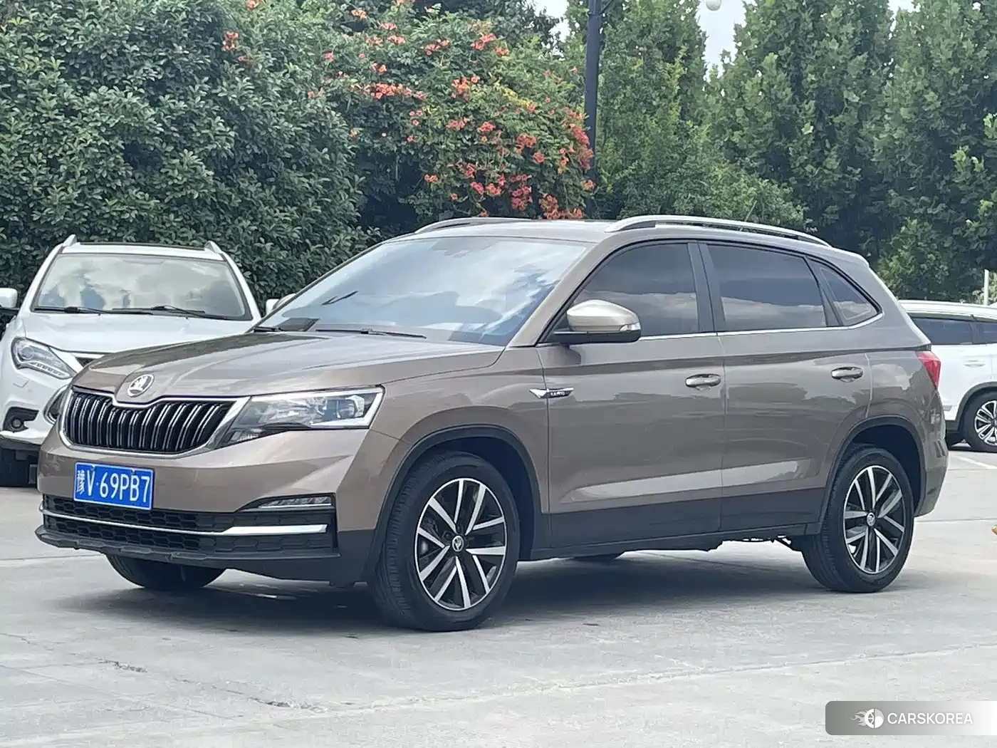 Skoda Kamiq 2023 Champagne/brown из Китая, фото 2