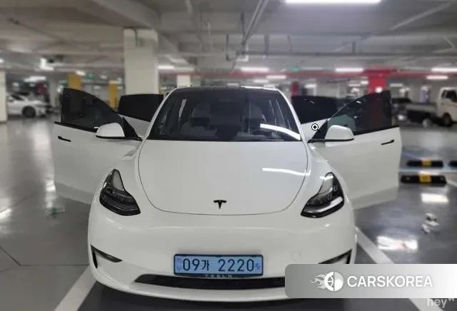 Tesla Model Y 2021 Белый из Кореи