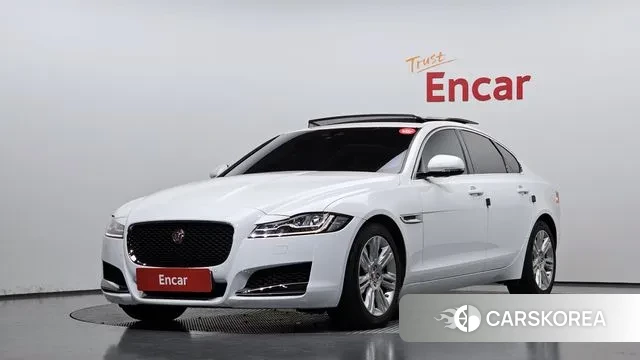 Jaguar XF (X260) 2018 Белый из Кореи