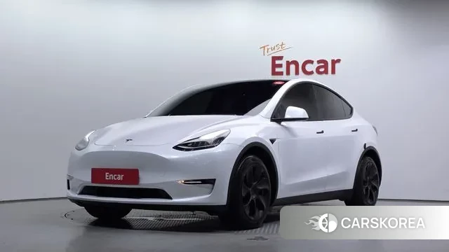 Tesla Model Y 2021 Белый из Кореи
