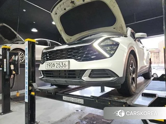 Kia Sportage 5th Generation 2021 Белый из Кореи