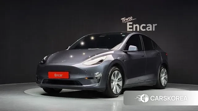 Tesla Model Y 2021 Серый из Кореи