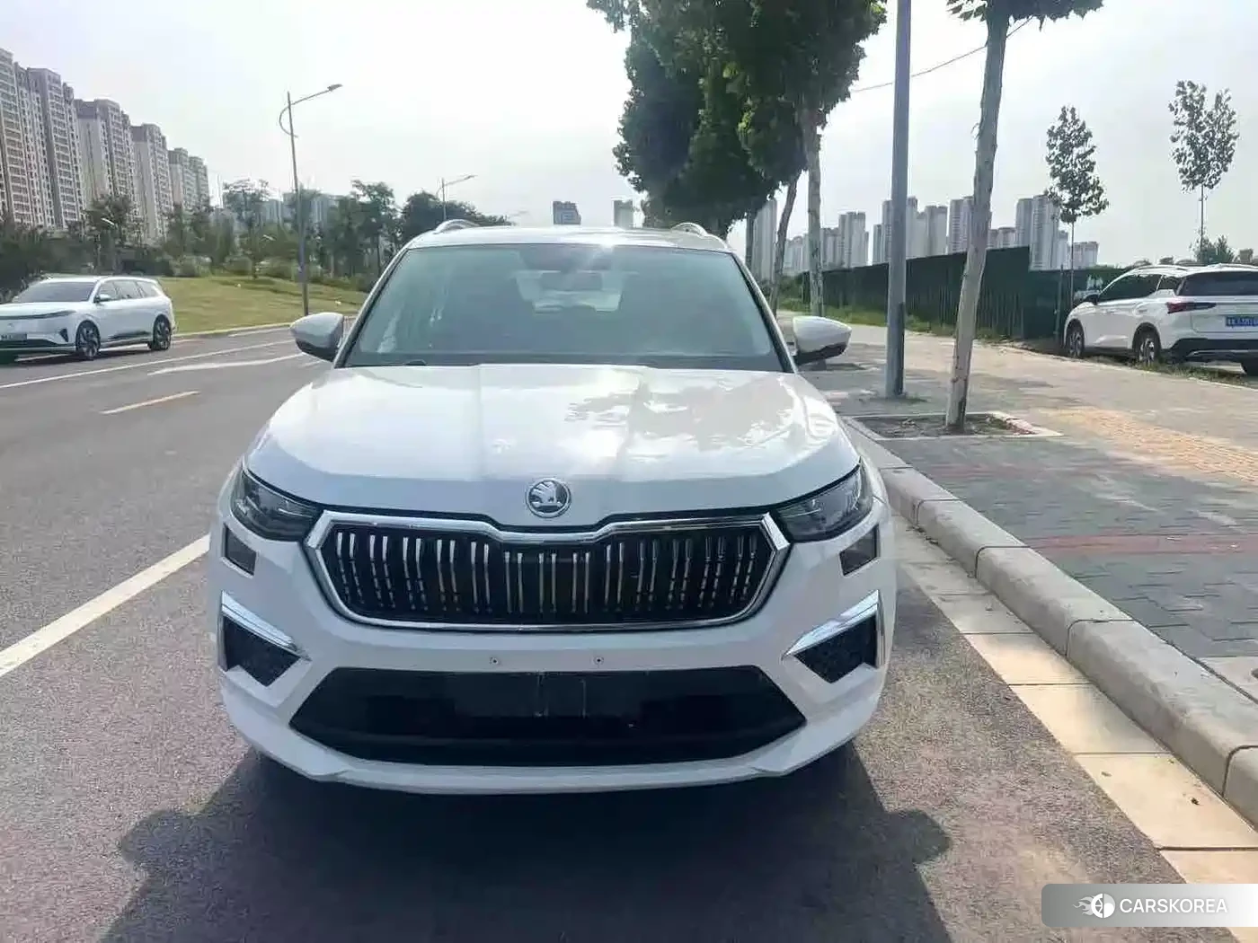 Skoda Kodiak 2024 Белый из Китая