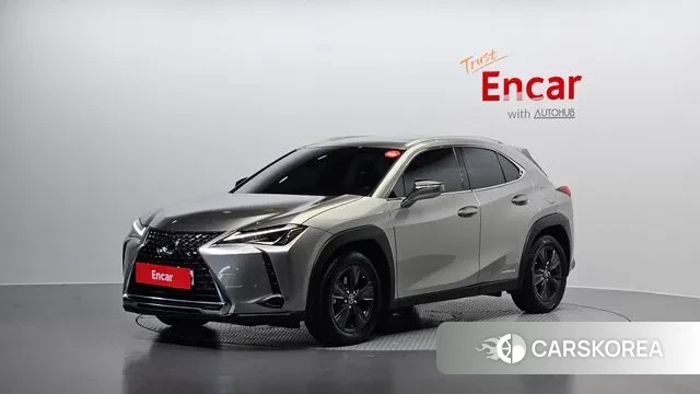 Lexus UX250h 2019 Серый из Кореи