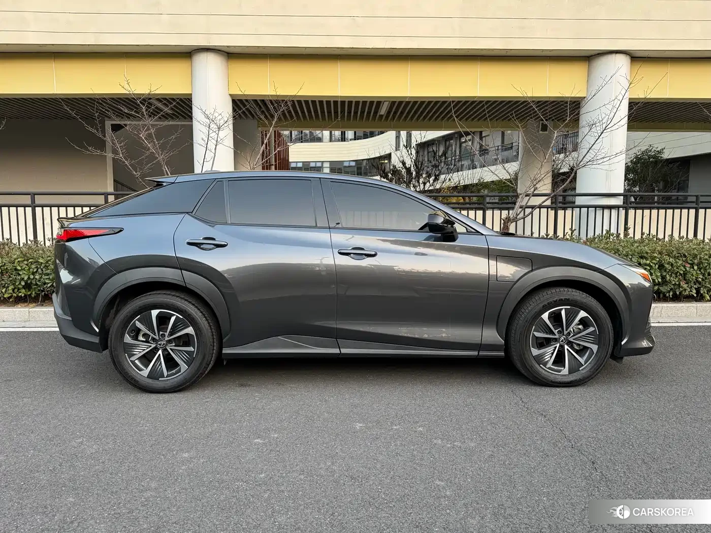 Lexus RZ 2023 Silver/gray из Китая