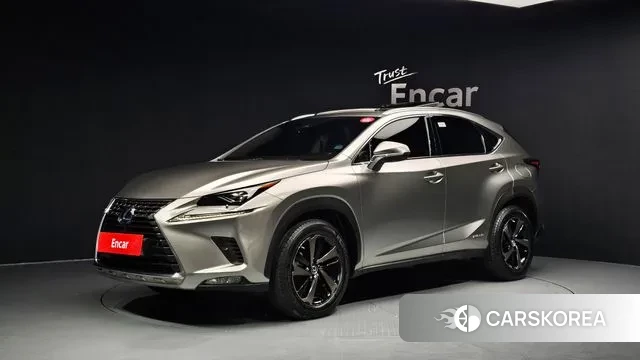 Lexus NX300h 2021 Серый из Кореи
