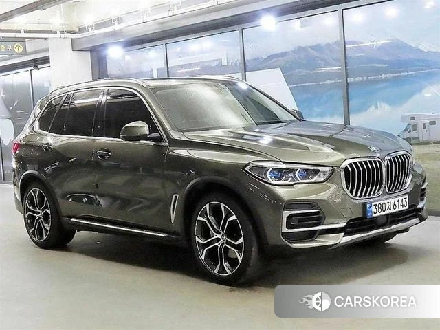 BMW X5 (G05) 2023 Цвет тростника из Кореи