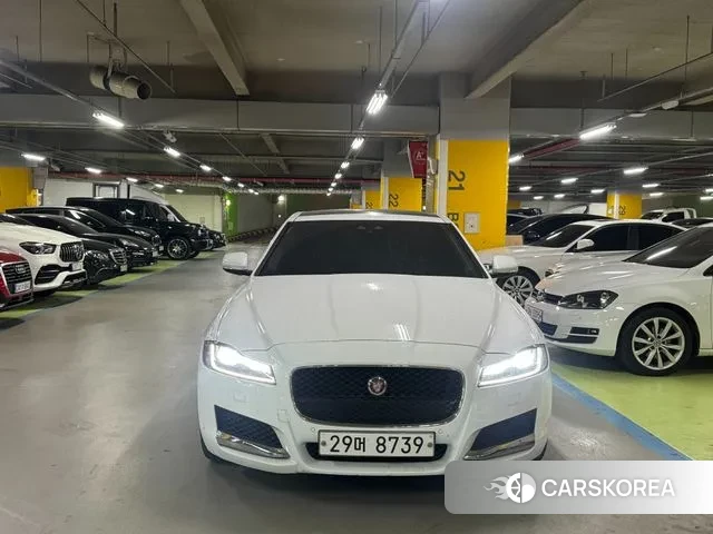 Jaguar XF (X260) 2018 Белый из Кореи