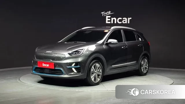 Kia Niro EV 2021 Серый из Кореи