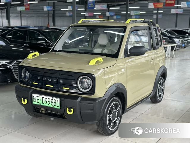 Geely Galaxy panda 2025 Другой из Китая