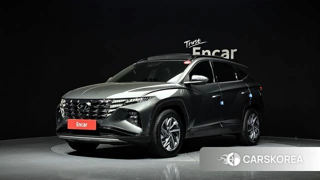 Hyundai Tucson Hybrid (NX4) 2021 Цвет тростника из Кореи
