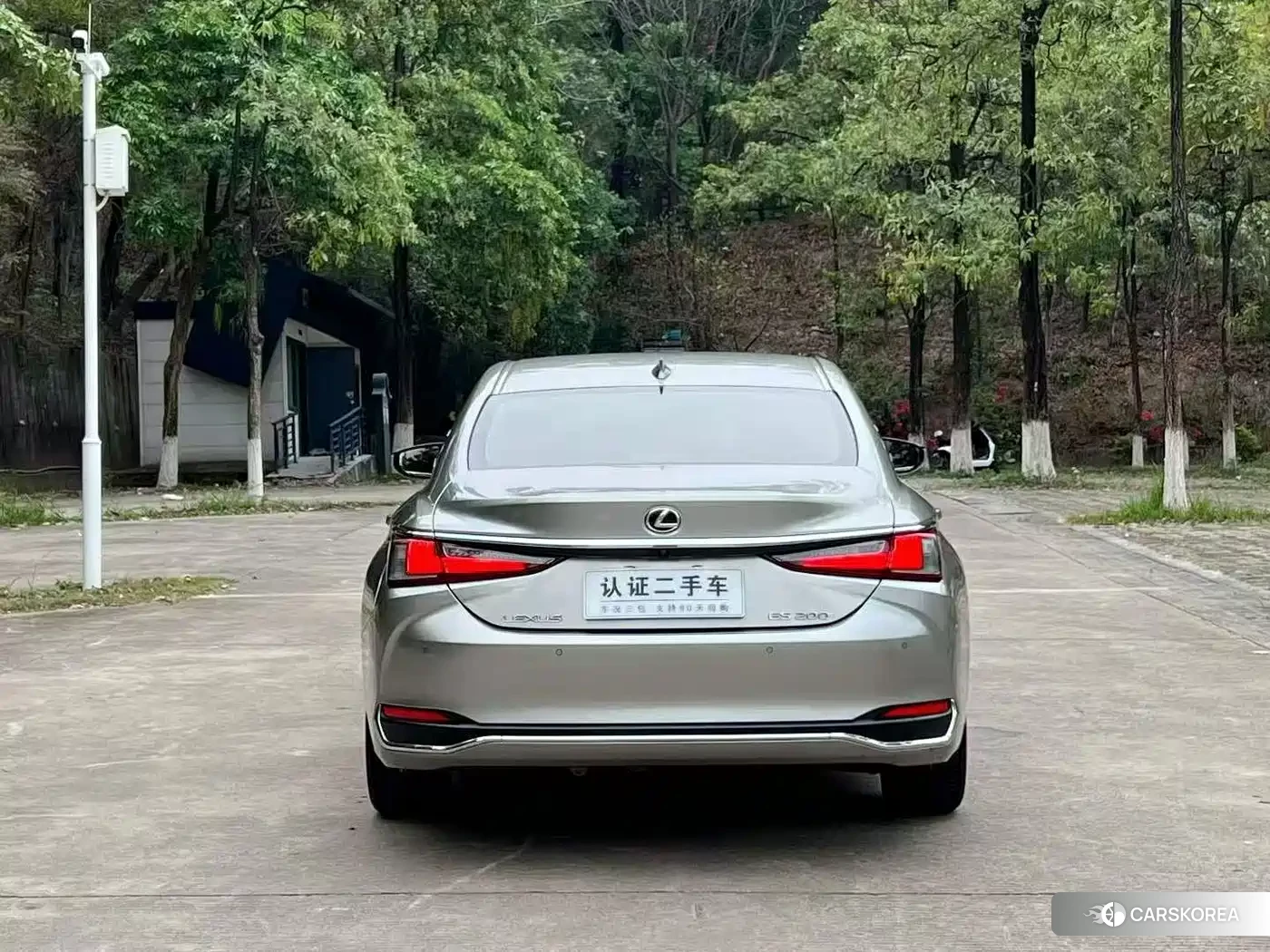 Lexus ES 2022 Silver/gray из Китая