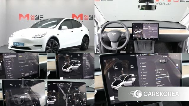 Tesla Model Y 2023 Белый из Кореи