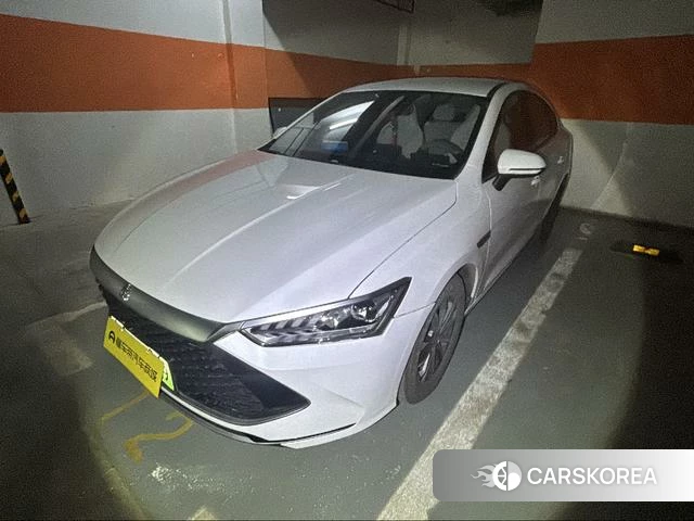 BYD Qin PLUS DM 2023 Белый из Китая