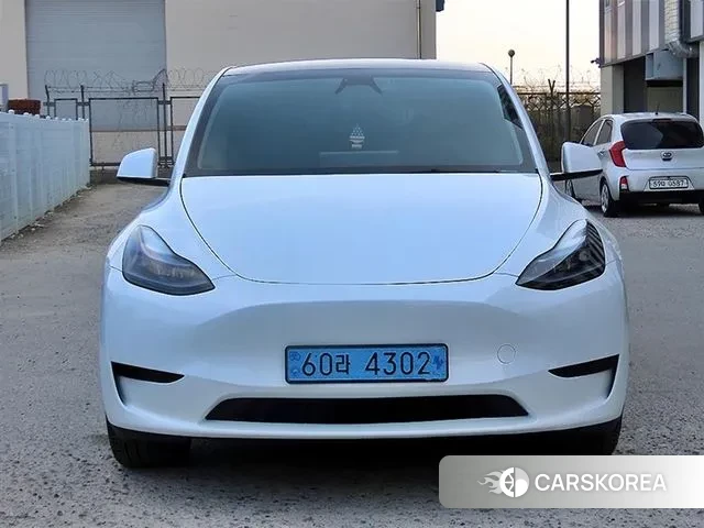 Tesla Model Y 2024 Белый из Кореи