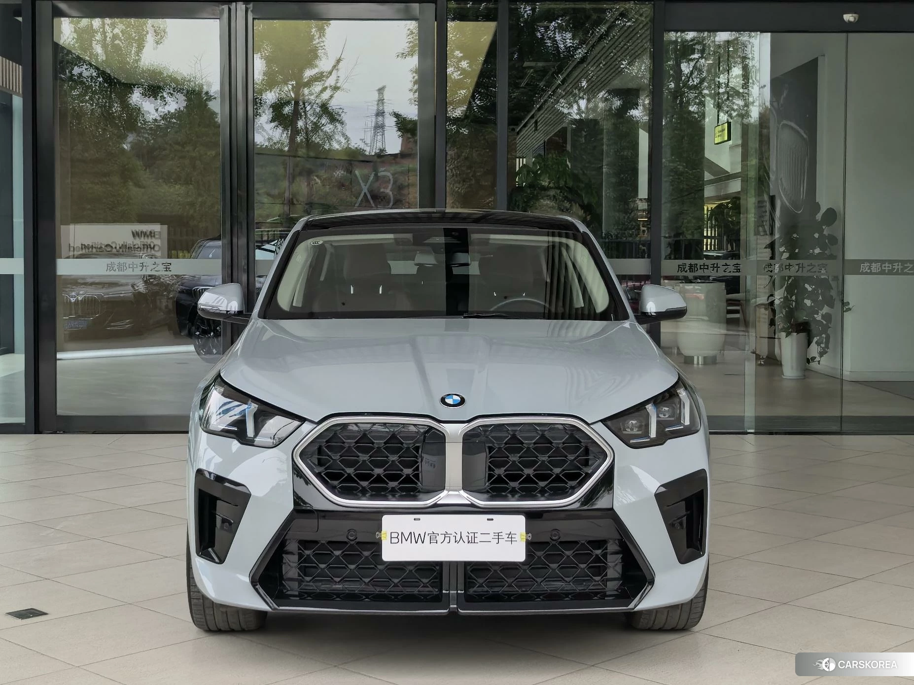BMW X2 (import) 2024 Темно-серый из Китая
