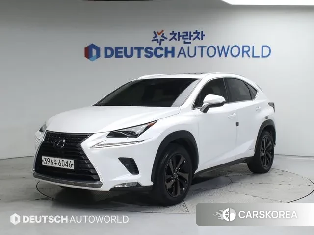 Lexus NX300h 2019 Белый из Кореи