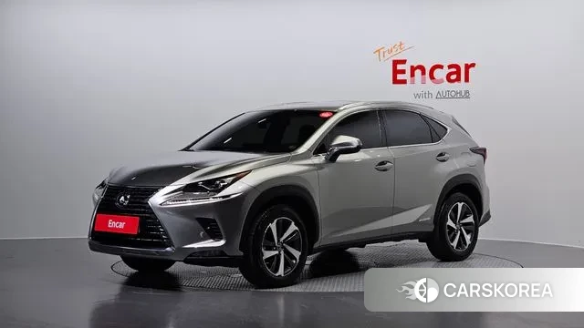 Lexus NX300h 2019 Серый из Кореи