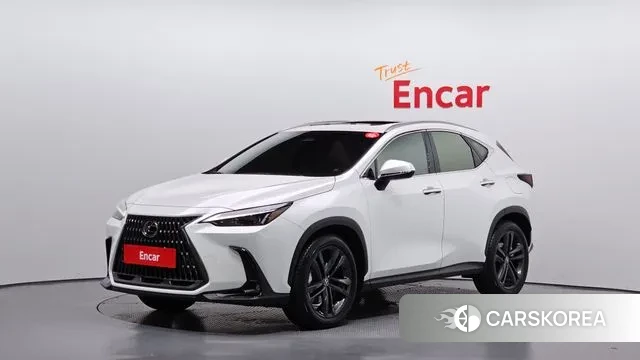 Lexus NX350h Second generation 2024 Белый из Кореи