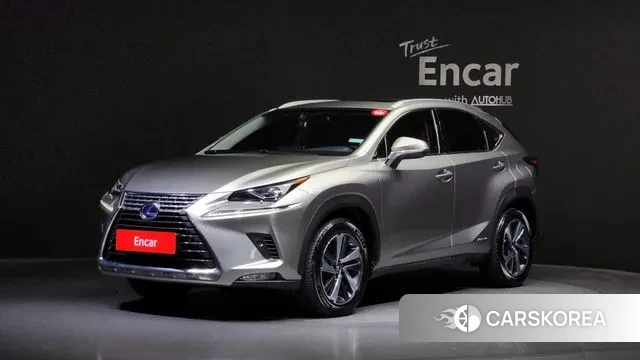 Lexus NX300h 2018 Песочный из Кореи