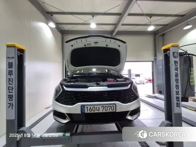 Kia Sportage 5th Generation Hybrid 2024 Белый из Кореи